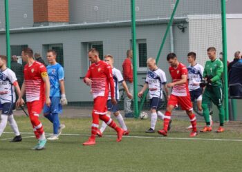 Strzelecki popis Astry