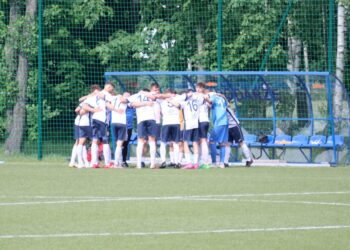 Strzelecki popis Astry