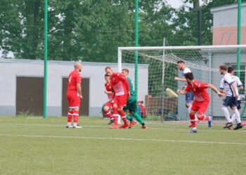 Strzelecki popis Astry