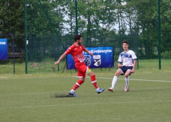 Strzelecki popis Astry