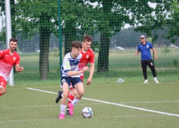 Strzelecki popis Astry