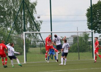 Strzelecki popis Astry