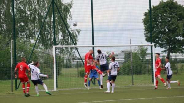 Strzelecki popis Astry