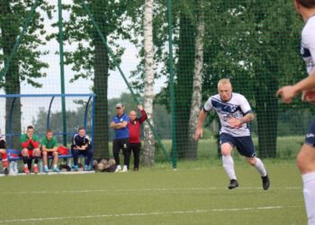 Strzelecki popis Astry