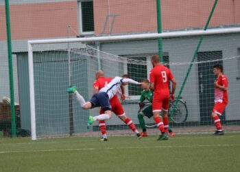 Strzelecki popis Astry