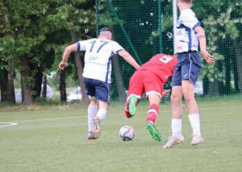 Strzelecki popis Astry
