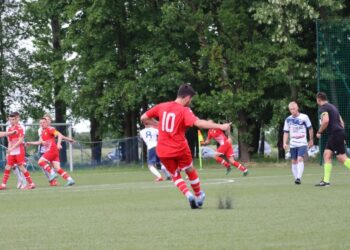 Strzelecki popis Astry