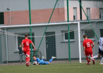 Strzelecki popis Astry