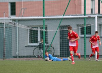 Strzelecki popis Astry