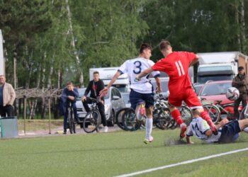 Strzelecki popis Astry