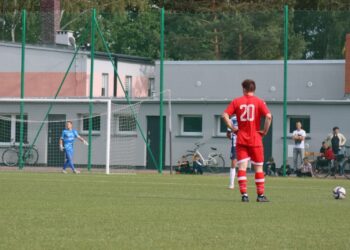 Strzelecki popis Astry