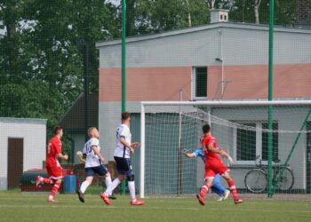 Strzelecki popis Astry