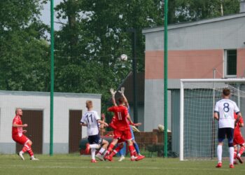 Strzelecki popis Astry