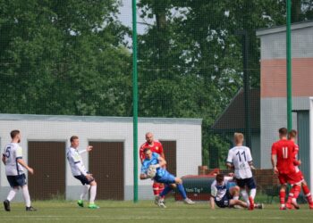 Strzelecki popis Astry