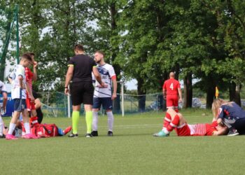 Strzelecki popis Astry