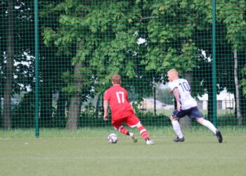 Strzelecki popis Astry