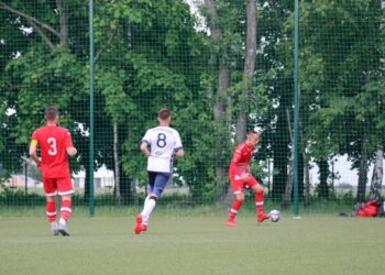 Strzelecki popis Astry