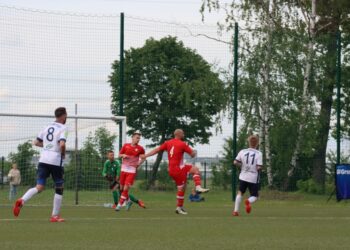 Strzelecki popis Astry