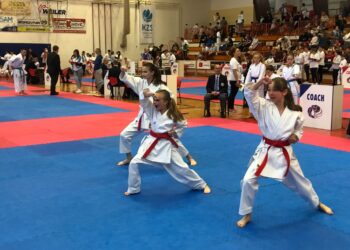 Zdunowianie walczyli w Słowenii