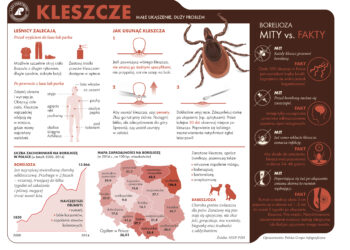 Uważajmy na kleszcze!