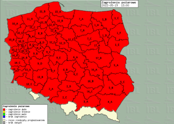 Zapaliła się ściółka leśna