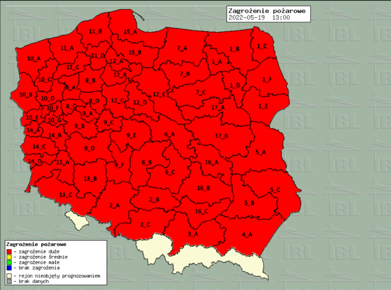 Zapaliła się ściółka leśna
