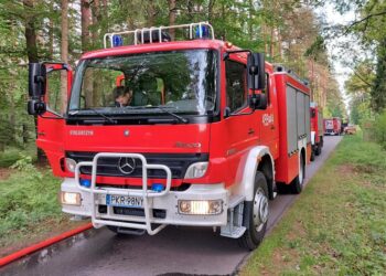 Zapaliła się ściółka leśna