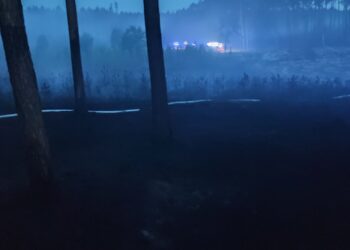 Z żywiołem walczyło ponad 50 strażaków