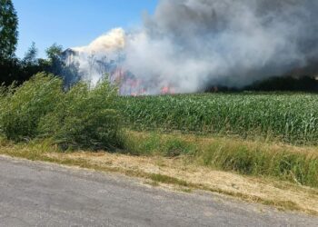 Hala produkcyjna stanęła w ogniu