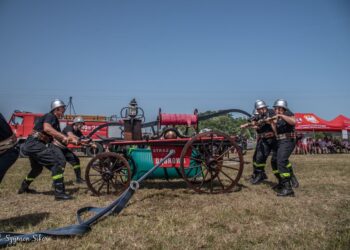 Sikawki konne w Czarnym Sadzie