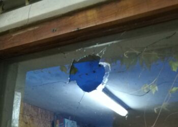 Odpowie za zniszczenia