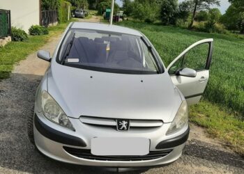 Okazja czyni złodzieja