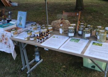 Słowiańskie obrzędy w krotoszyńskim parku