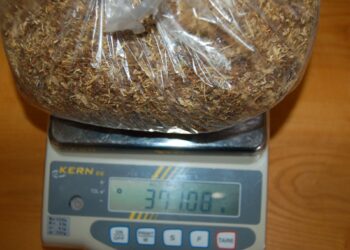 Odpowie za posiadanie narkotyków