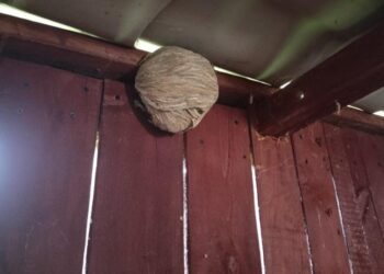 Strażacy sprawdzili obóz harcerski