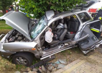 Osobówka uderzyła w drzewo