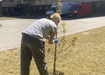 Dobra terapia jest lekiem na całe zło
