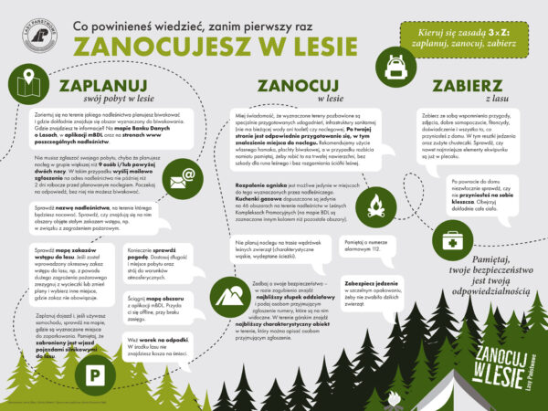 Zanocuj w lesie – czyli legalny biwak w lesie!