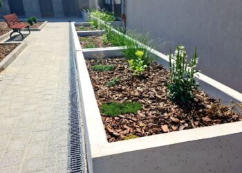 Podwórko w piękniejszej odsłonie