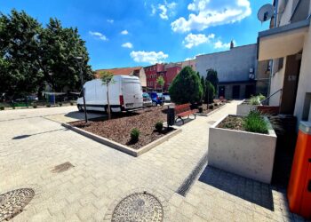 Podwórko w piękniejszej odsłonie