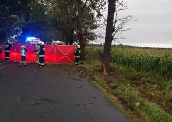 Tragiczny wypadek na drodze powiatowej