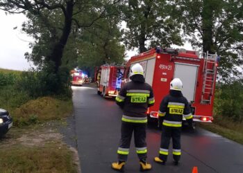 Tragiczny wypadek na drodze powiatowej