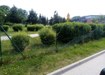Apel do mieszkańców w związku z aktami wandalizmu