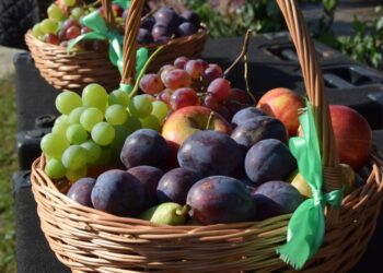 Świętowali zakończenie zbiorów