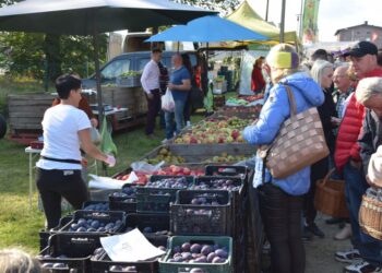 Świętowali zakończenie zbiorów