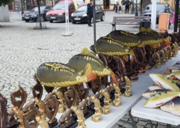 Jubileuszowy Bieg Karpia w Miliczu