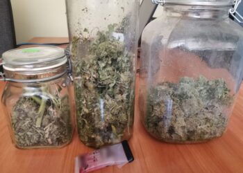 Ponad tysiąc porcji marihuany