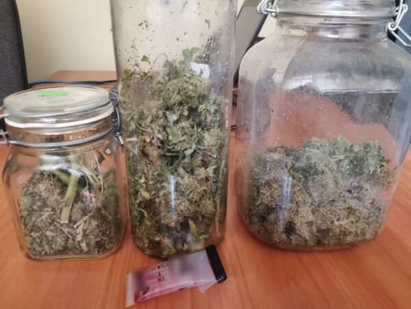 Ponad tysiąc porcji marihuany