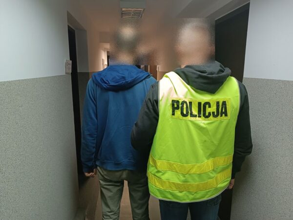 Złodziej sprzętu RTV zatrzymany