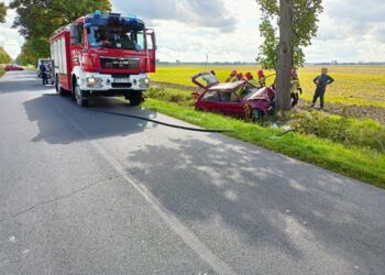 Osobówka uderzyła w drzewo